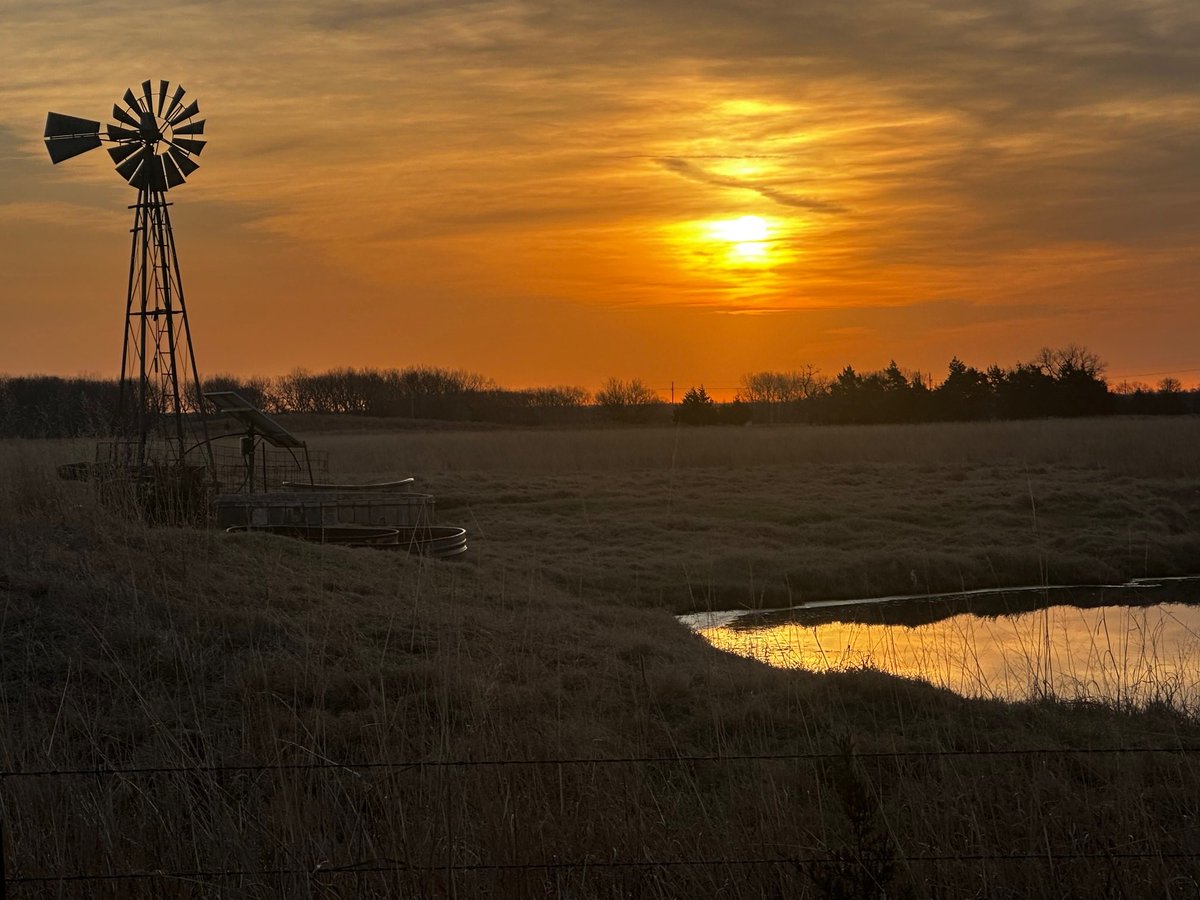 Emily Sutton tweet media