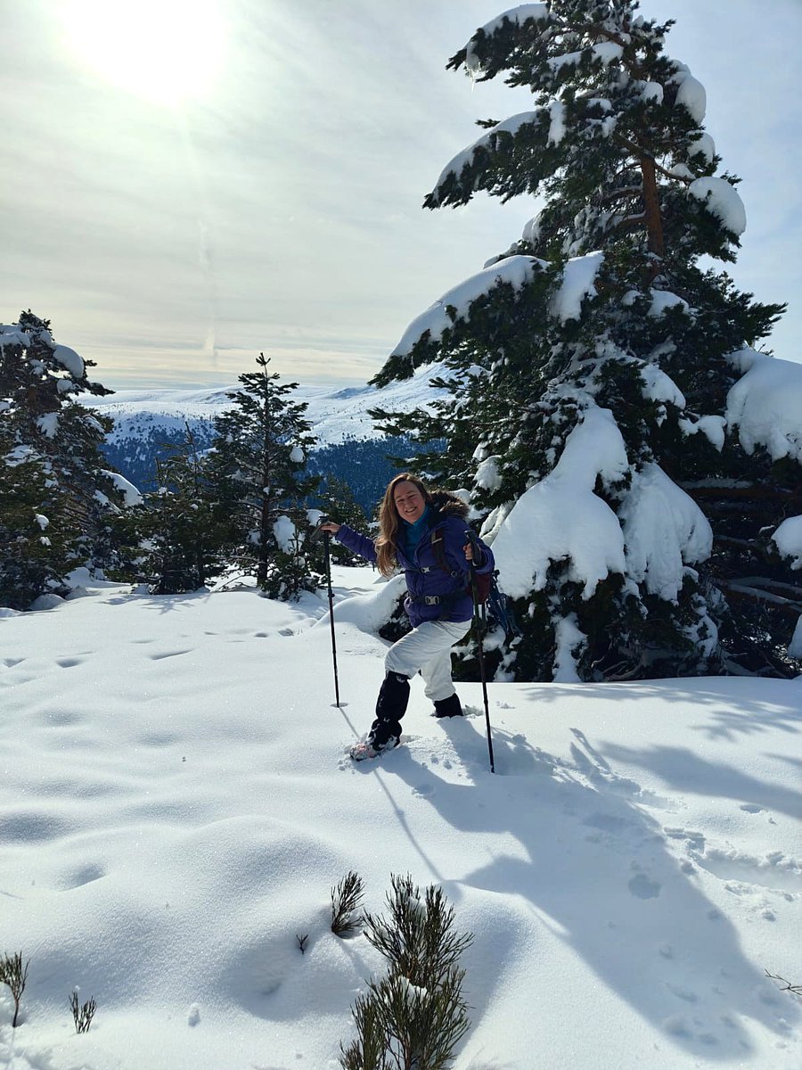 Aranzazu Serrano Lorenzo tweet media