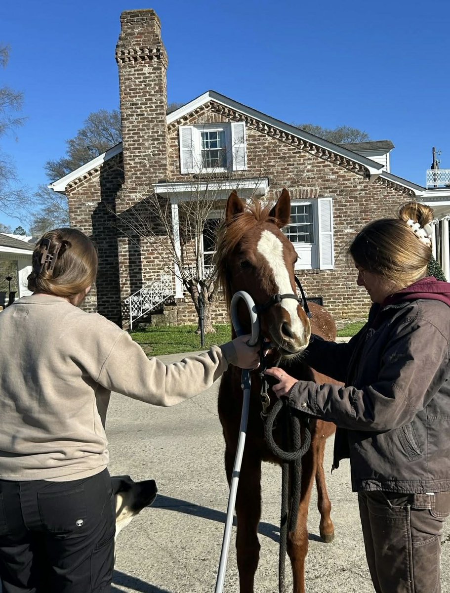 R.A.C.E. Fund, Inc. tweet media