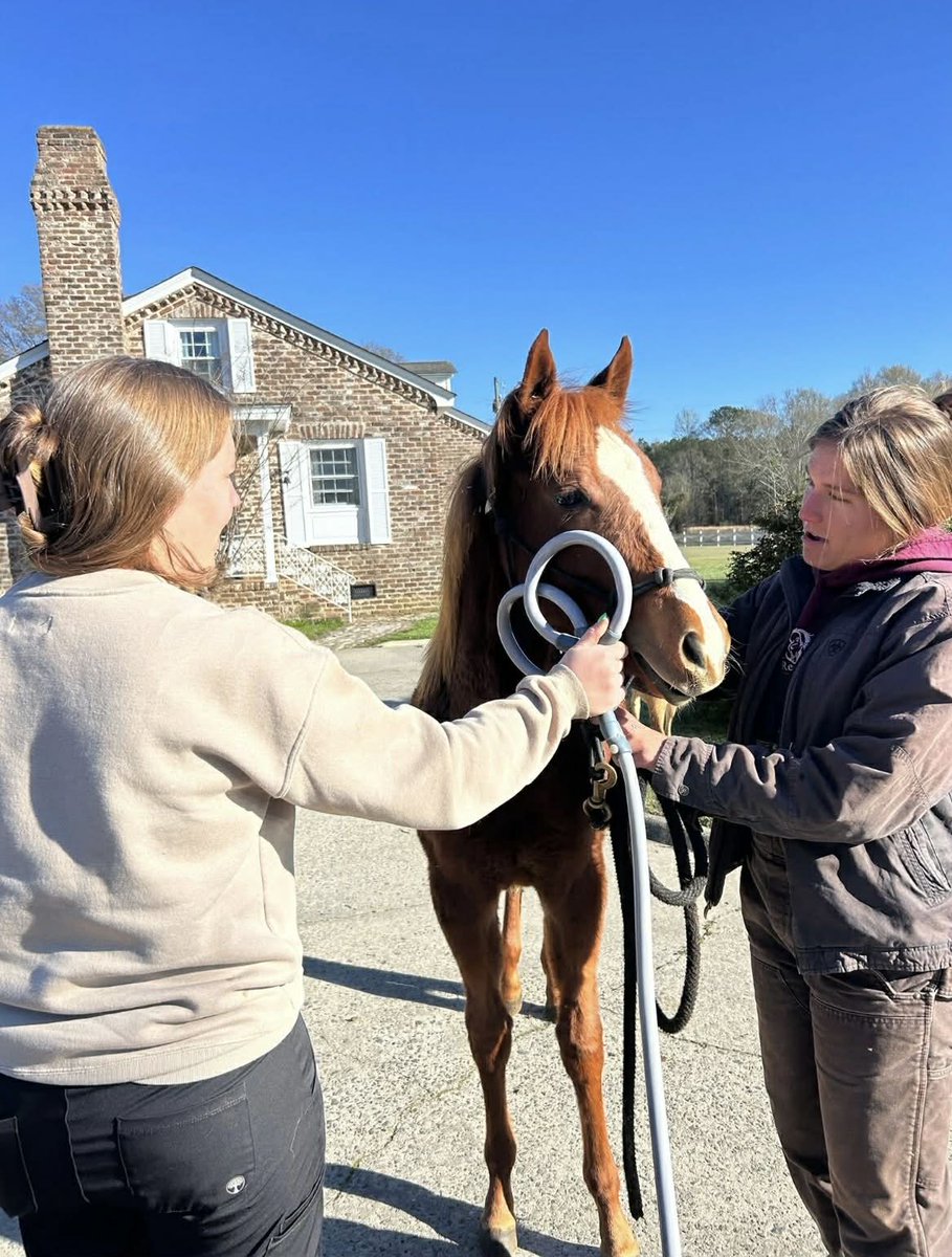 R.A.C.E. Fund, Inc. tweet media