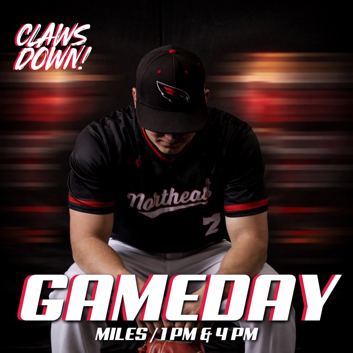 Northeast Baseball tweet media