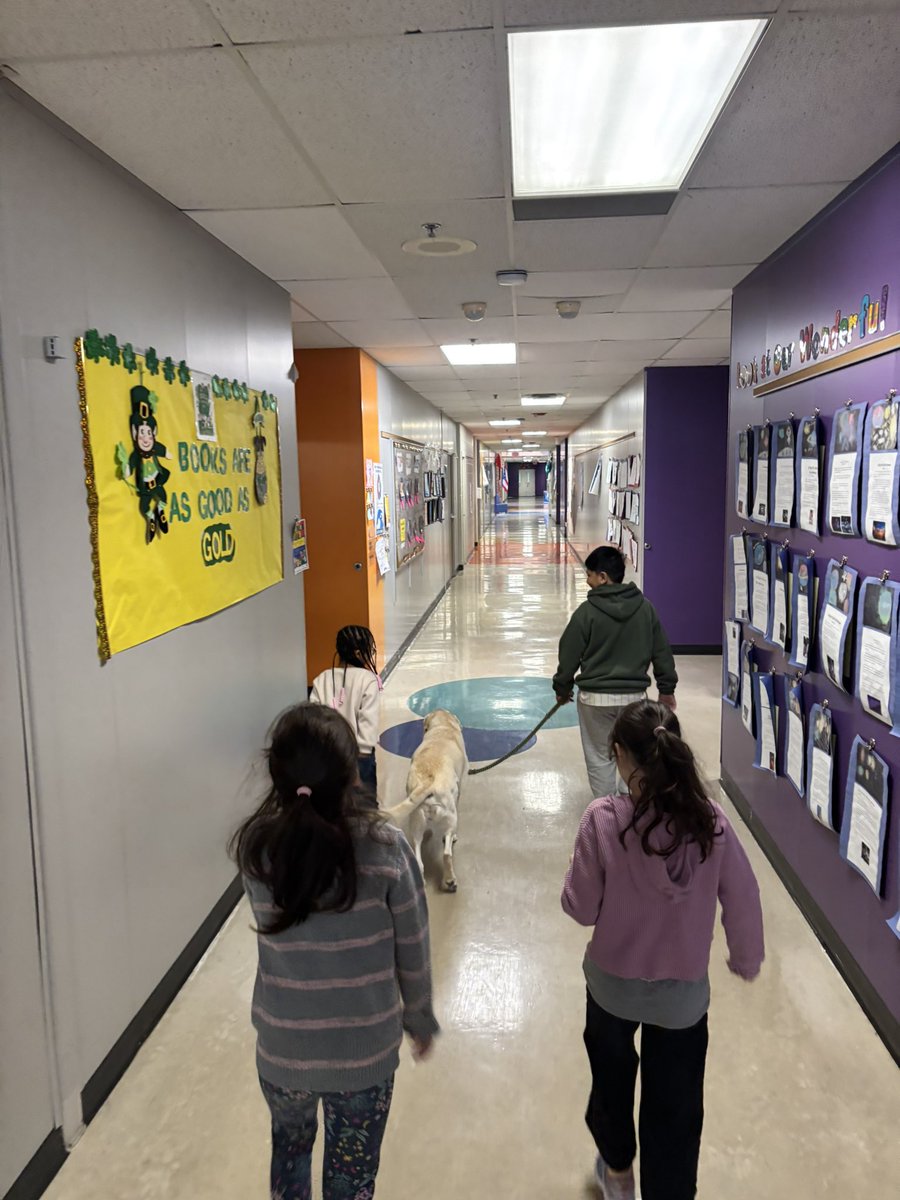 olivia hawkins tweet media