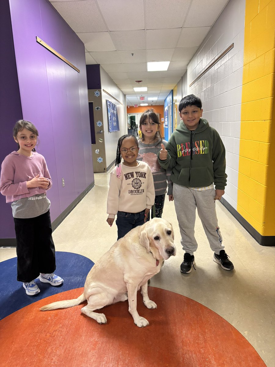 olivia hawkins tweet media