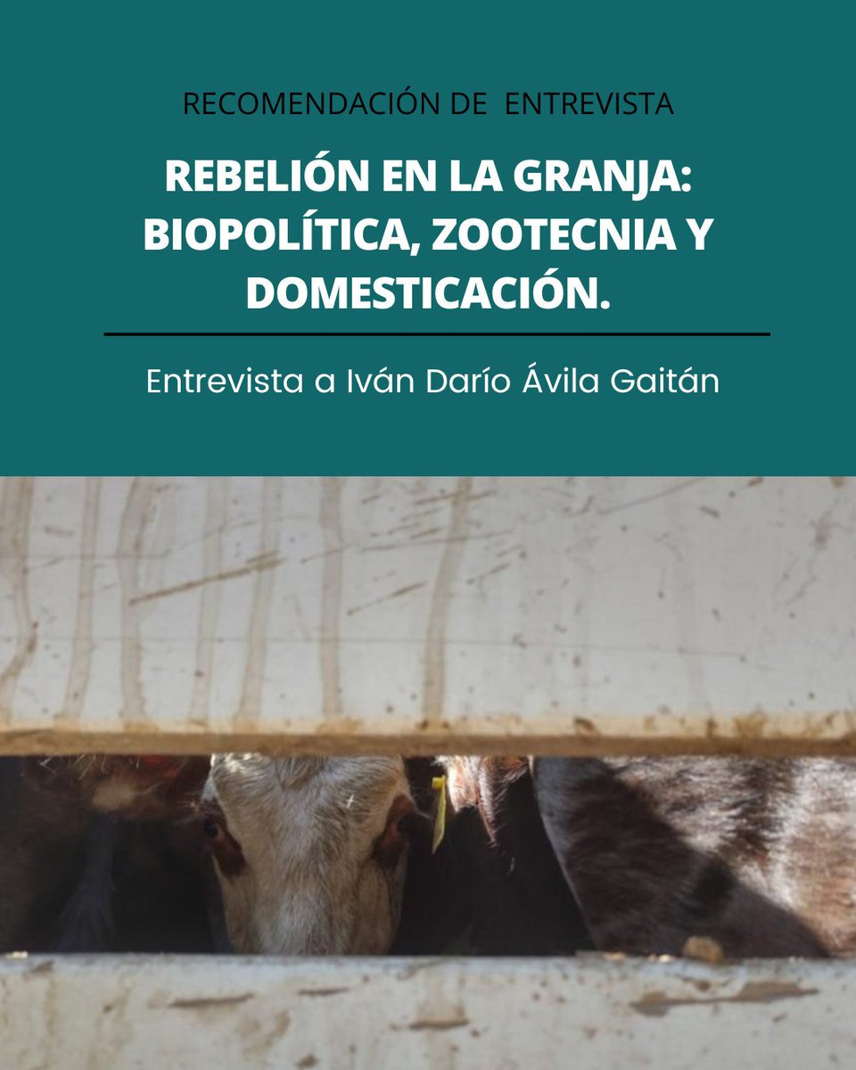 No se pierdan esta maravillosa entrevista titulada "Rebelión en la granja: Biopolítica, zootecnia y domesticación", del fantástico Darío Ávila Gaitán, en diálogo con Jennifer Linares 🐦🐌🐙

Disponible en: revistatabularasa.org/numero32/rebel…