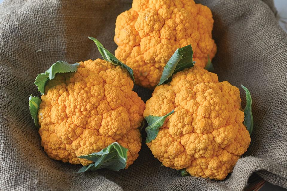 Growing Produce tweet media