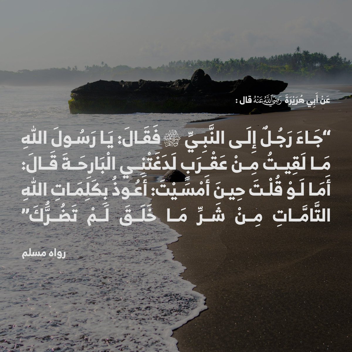 Abdullah 🍂 tweet media