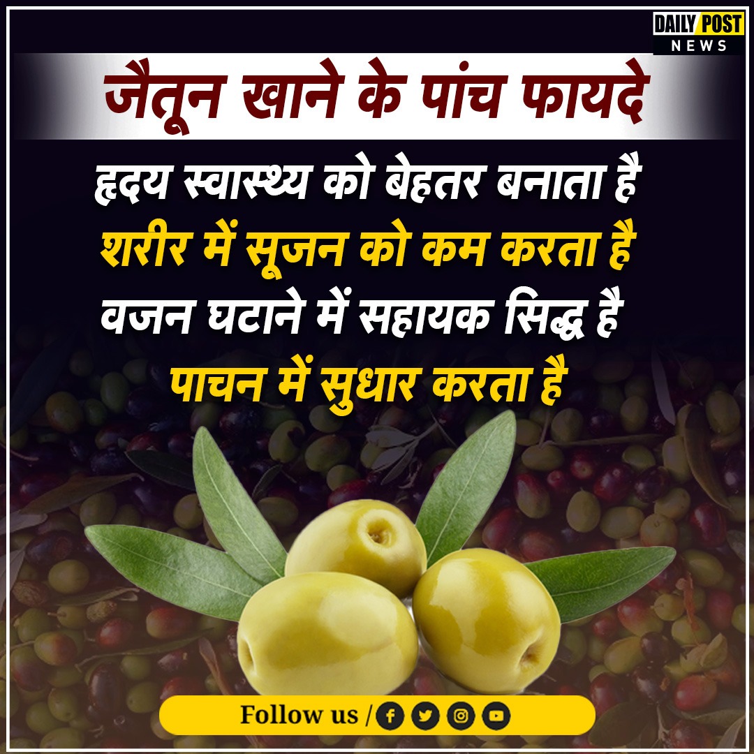 PostHaryana's tweet image. जैतून खाने के पांच फायदे

#olive #dailypost #benifits #dailypostharyanahimachal