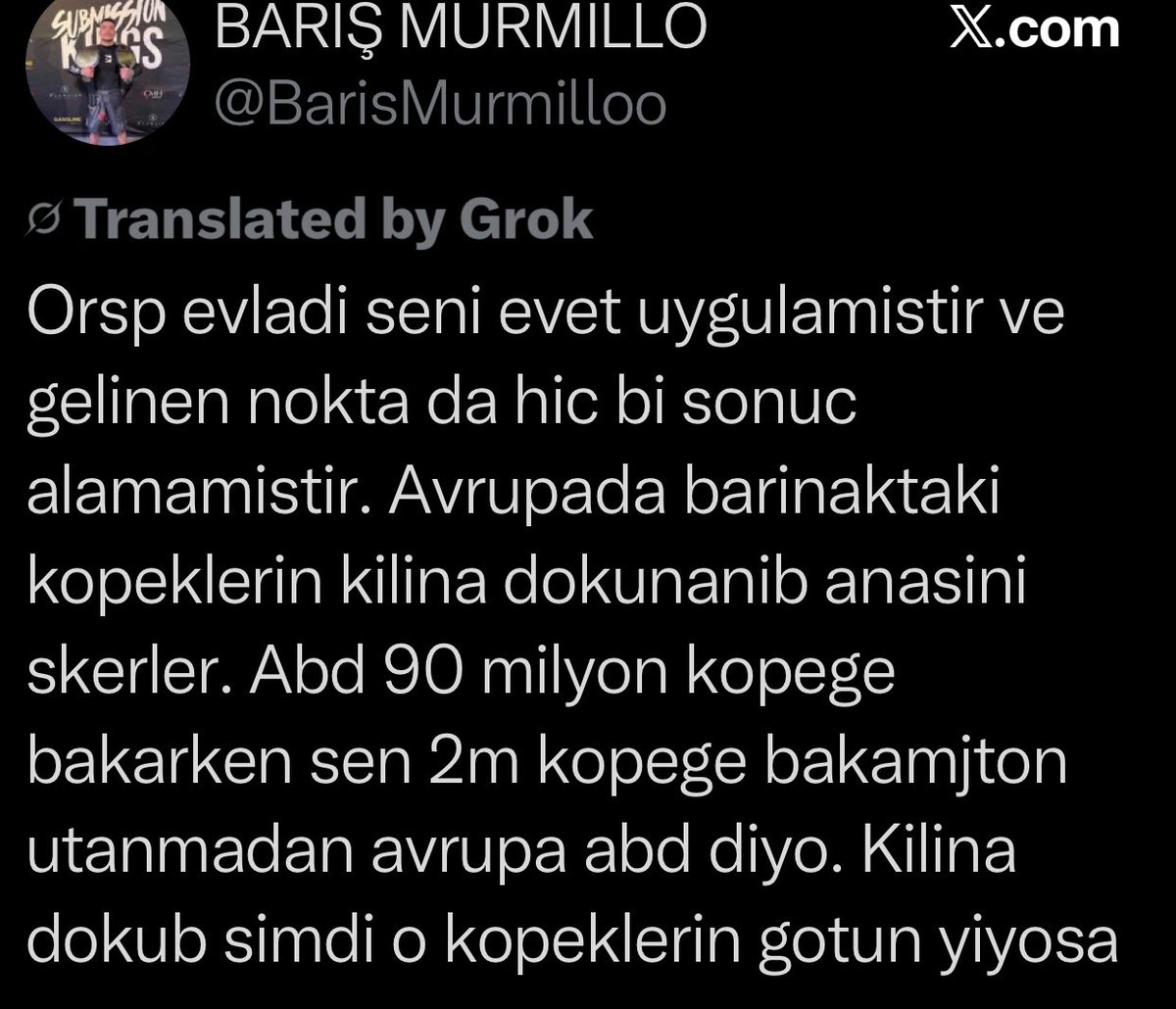 Ahmak itperest Amerika'daki sahipli kopekleri basibos it saniyor. Cahil kopek soyu. Bak Amerika'da 2024 yilinda 607 bin sahipsiz hayvan itlaf edilmis, hem de sadece resmi barinaklarda:
aspca.org/helping-shelte…