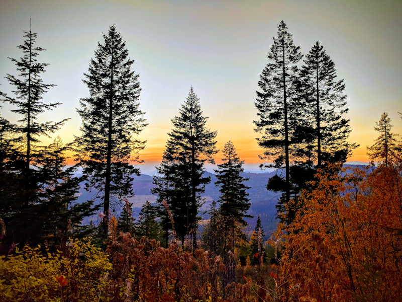 Washington Department of Fish & Wildlife tweet media