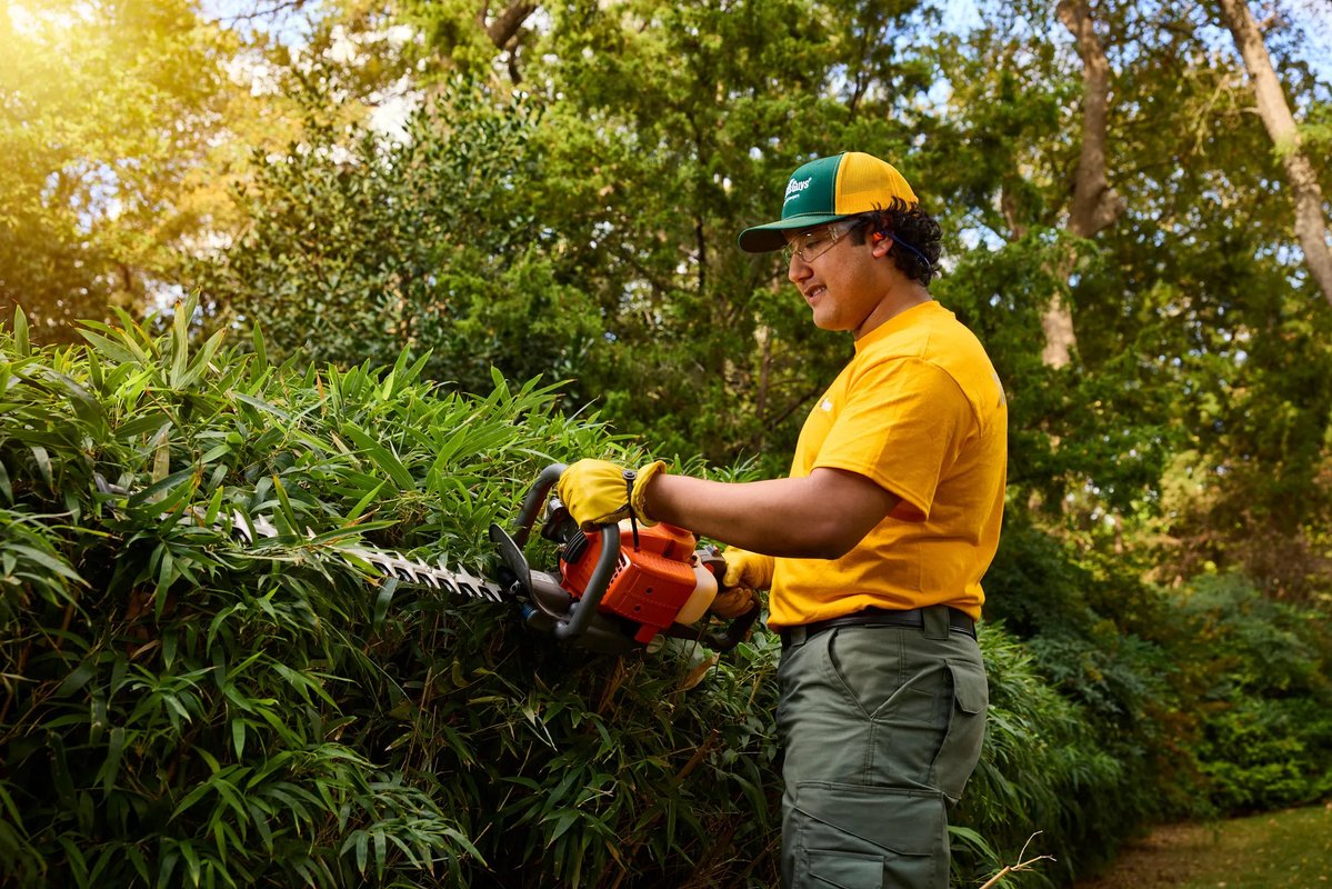 The Grounds Guys tweet media