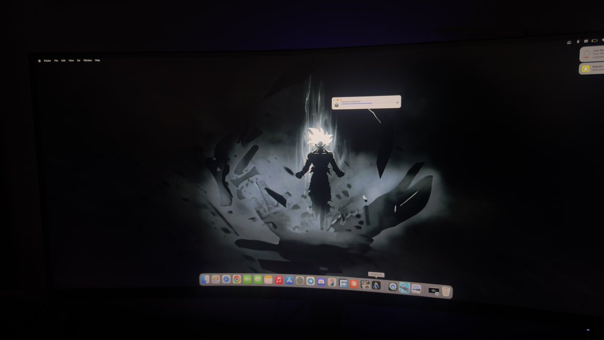 whizz 🍫 tweet media