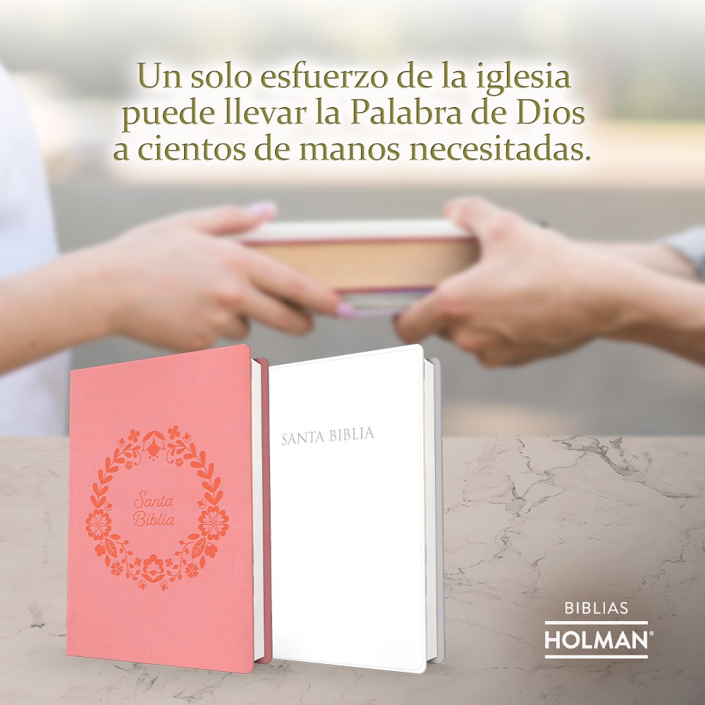 B&H Español tweet media