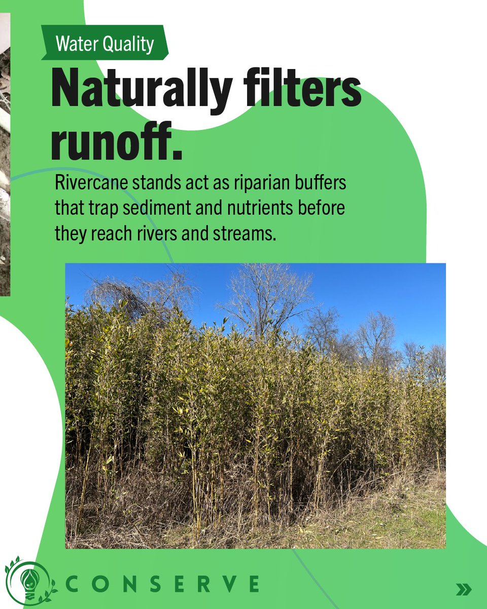 Alabama Water Institute tweet media