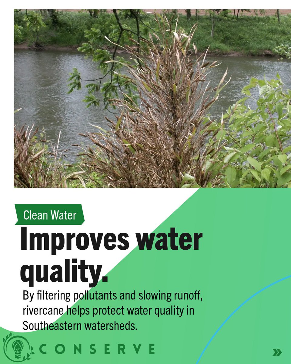 Alabama Water Institute tweet media