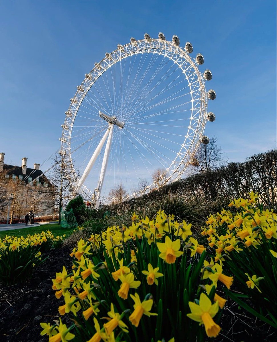 The London Eye tweet media