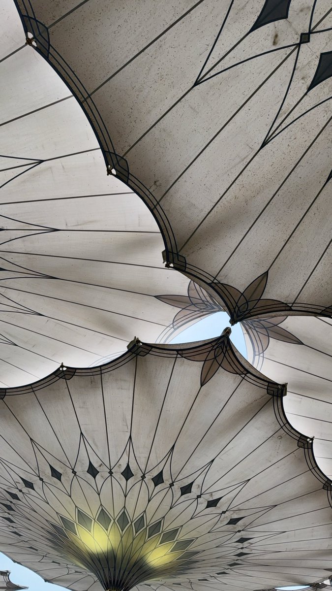 عامر الحربي tweet media