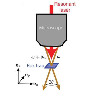 Physical Review Letters tweet media