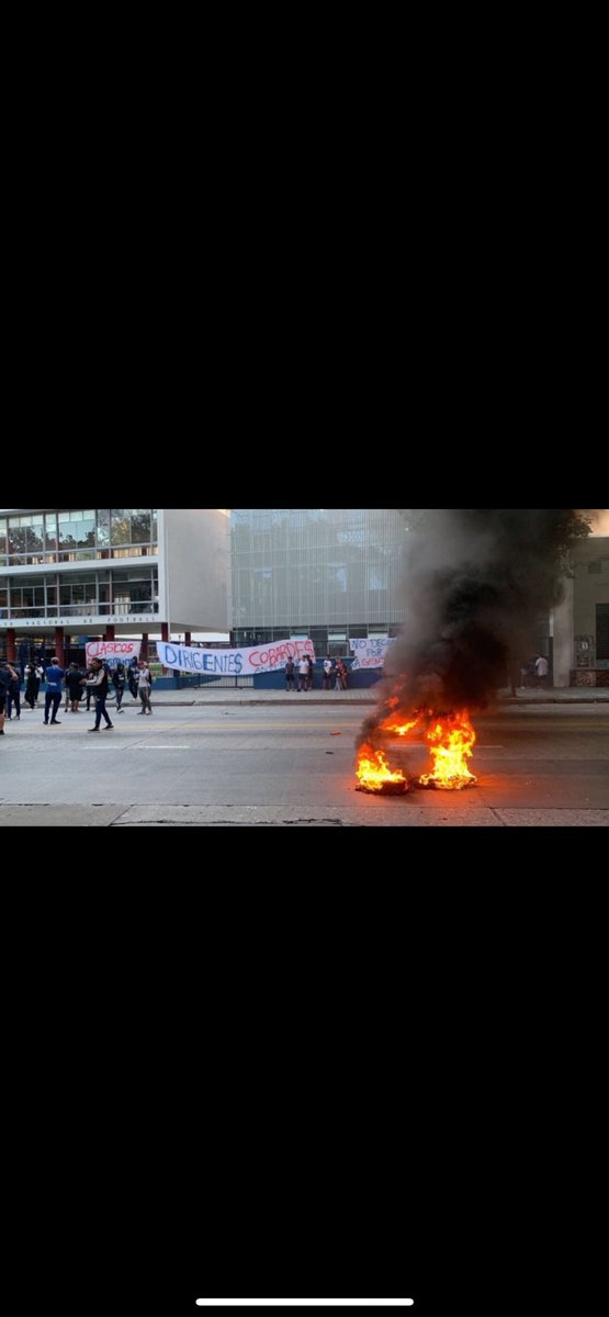 Colontodomanya tweet media