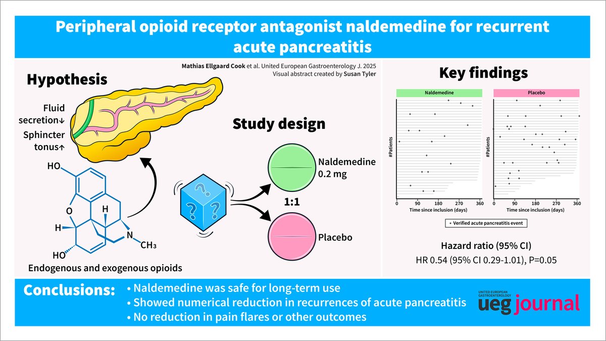 UEGJournal's tweet image. 🧩 #Naldemedine may reduce recurrence of acute #pancreatitis

#RCT (n=74):
🔸↓ recurrence risk vs placebo (HR 0.54; p=0.05)
🔸Sustained effect ≥12 months (HR 0.49)
🔸Similar safety profile

📖 #OpenAccess 👉 bit.ly/4tcJq15

@my_ueg