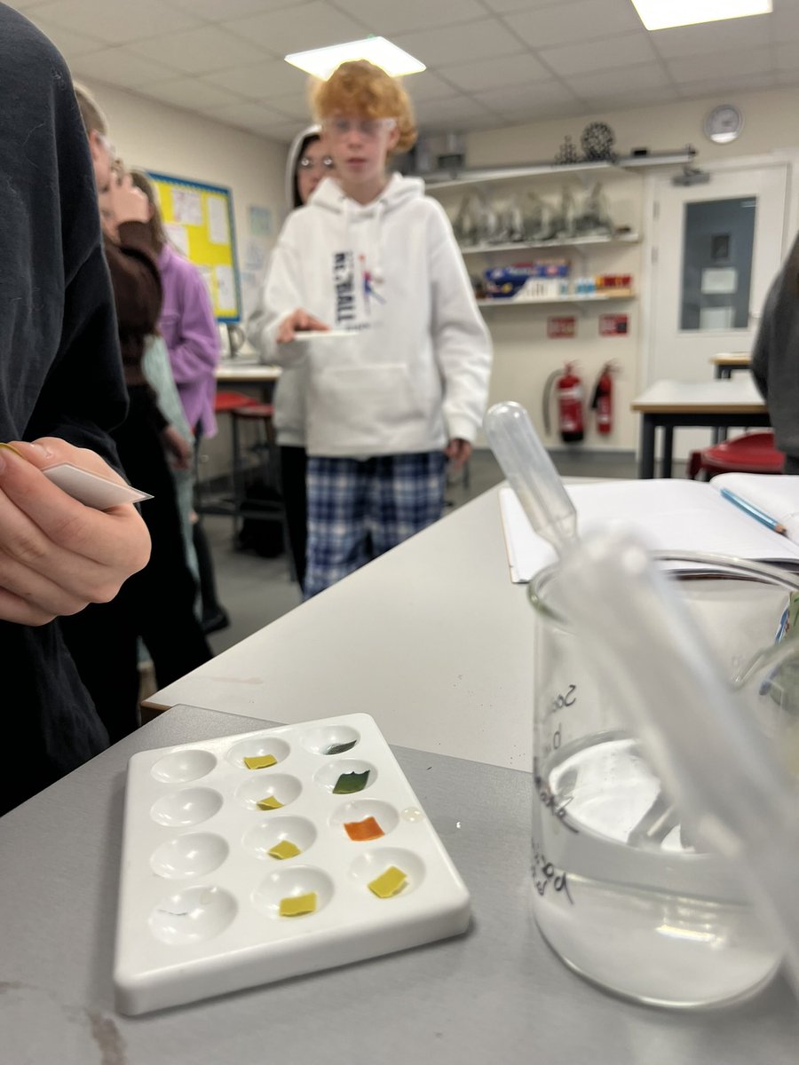 STEM | Durlston School tweet media