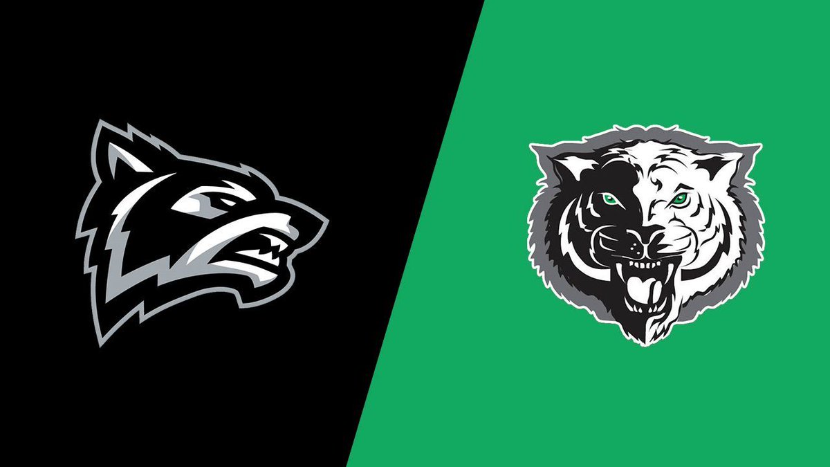 Champions Network tweet media