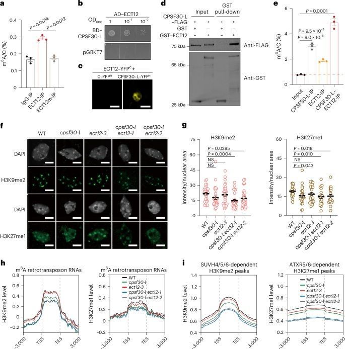 Plant Science tweet media