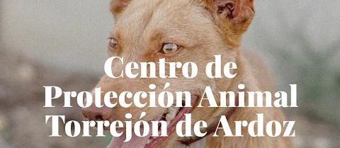 Torrejonnoticias tweet media