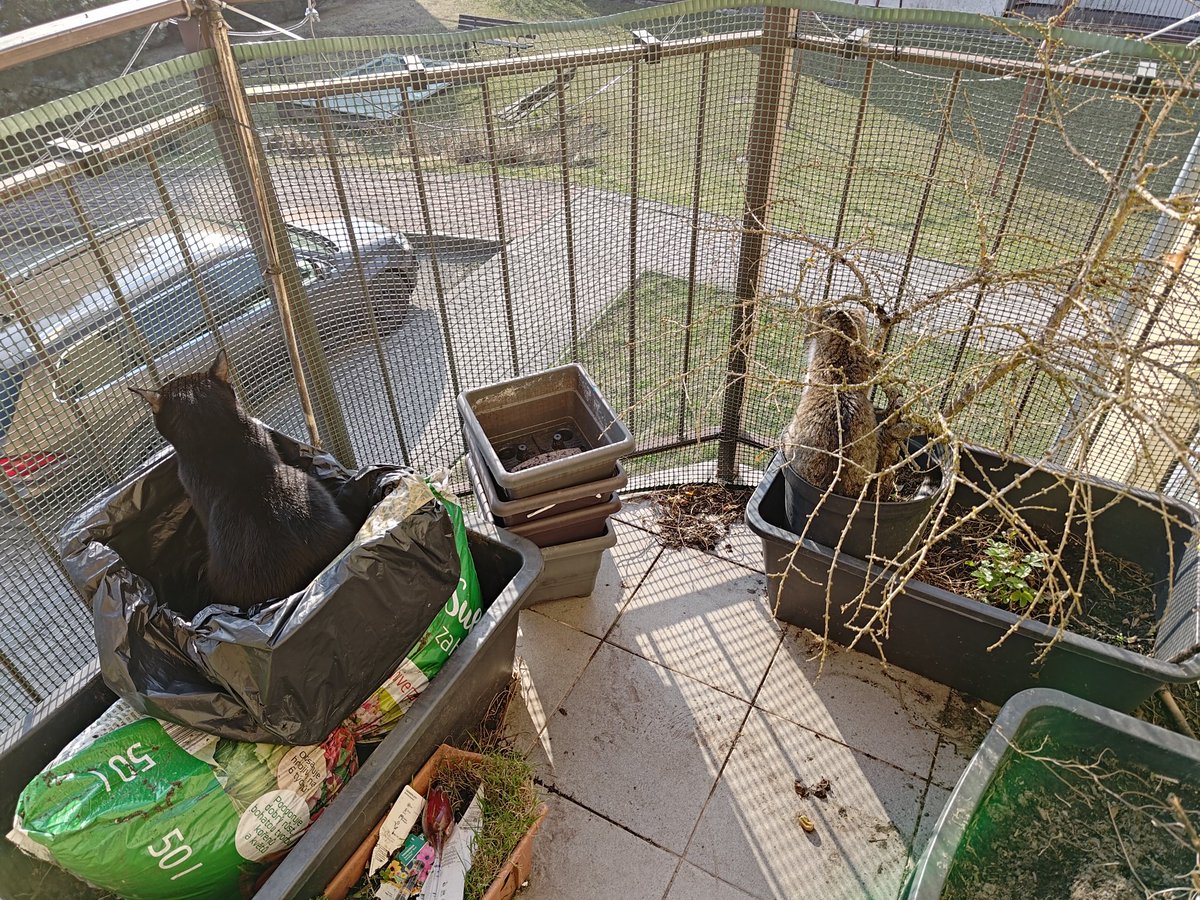 Zuzana Nyiri tweet media