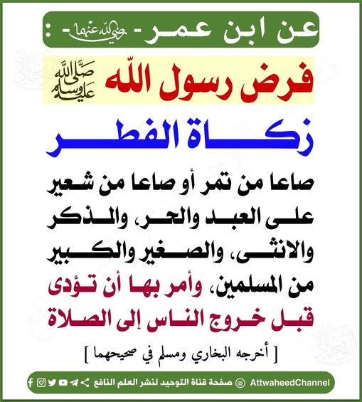 jamil tweet media