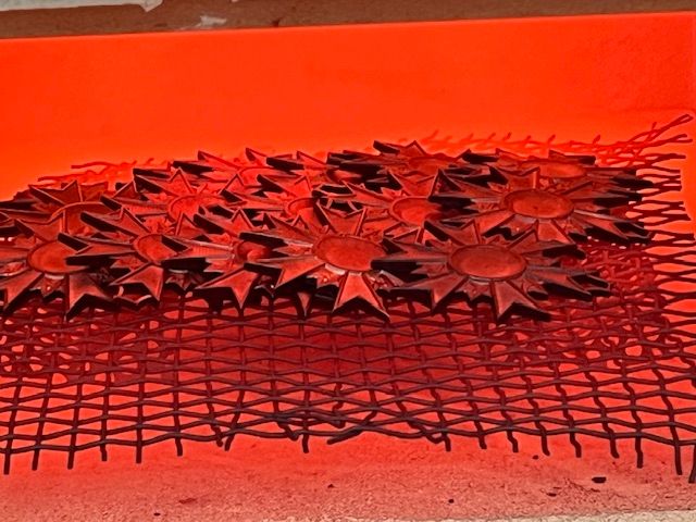 Christophe Robin tweet media