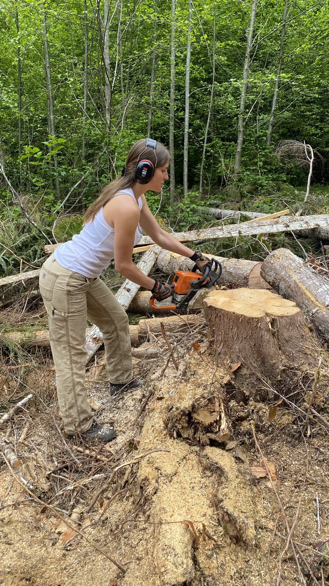 Nicolle Love tweet media