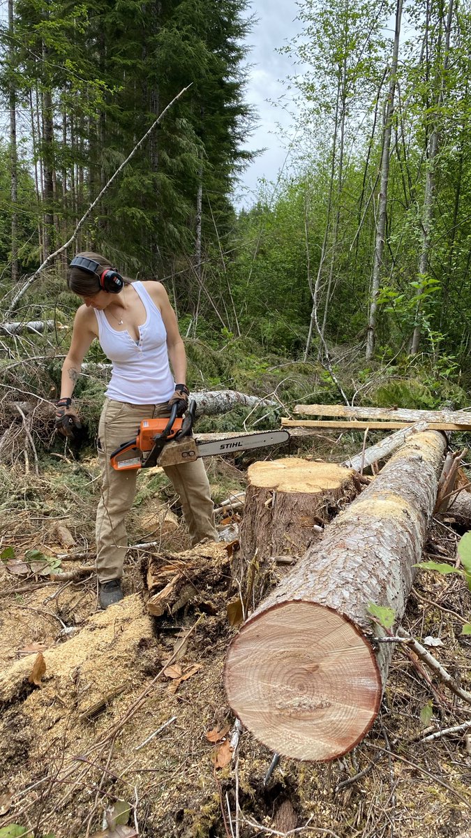 Nicolle Love tweet media