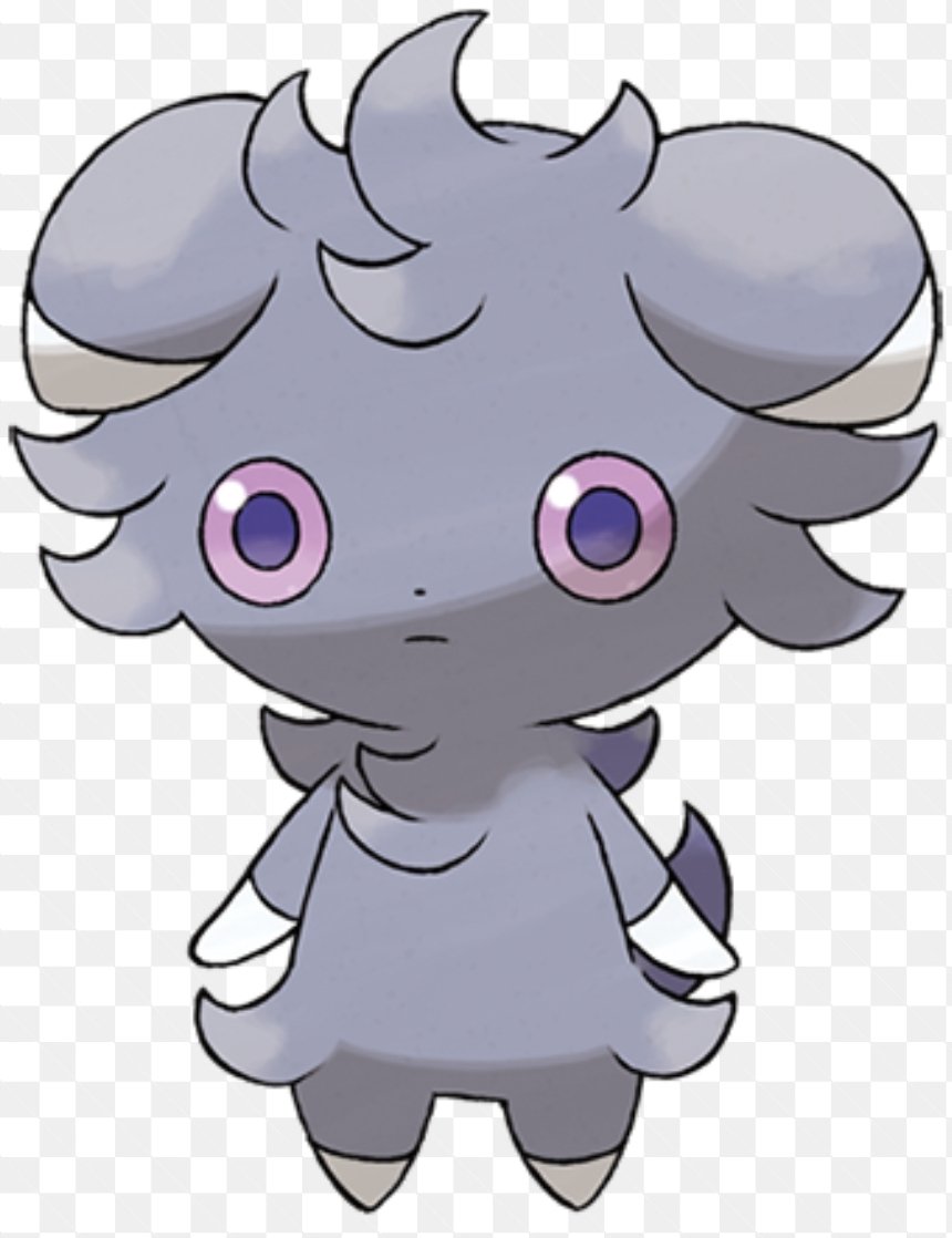 Mimi 🐱 🔎 🌹 tweet media