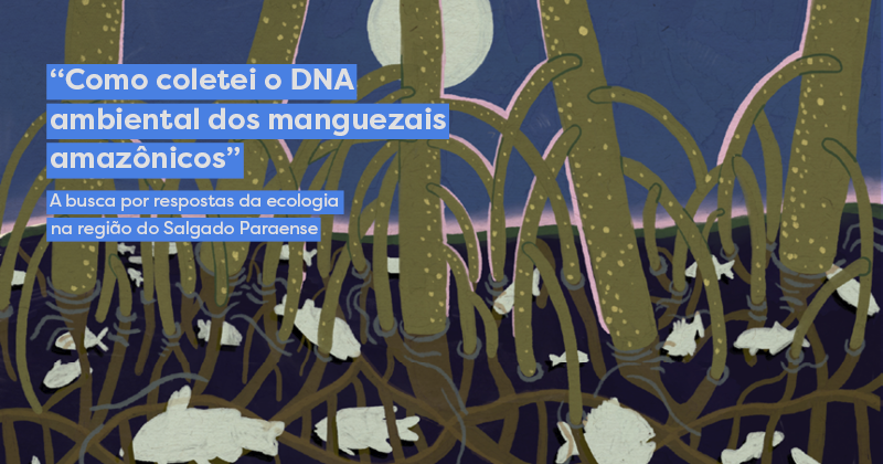 Instituto Serrapilheira tweet media