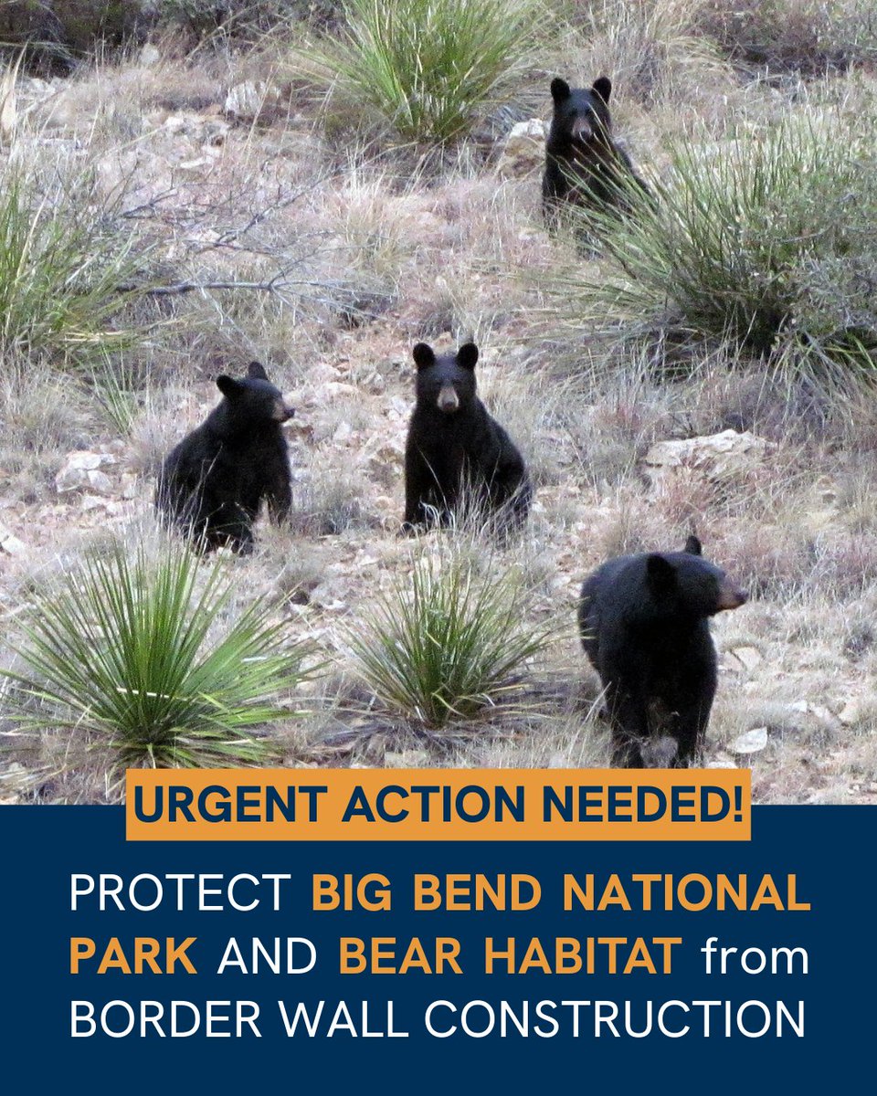 National Wildlife Federation Action Fund tweet media