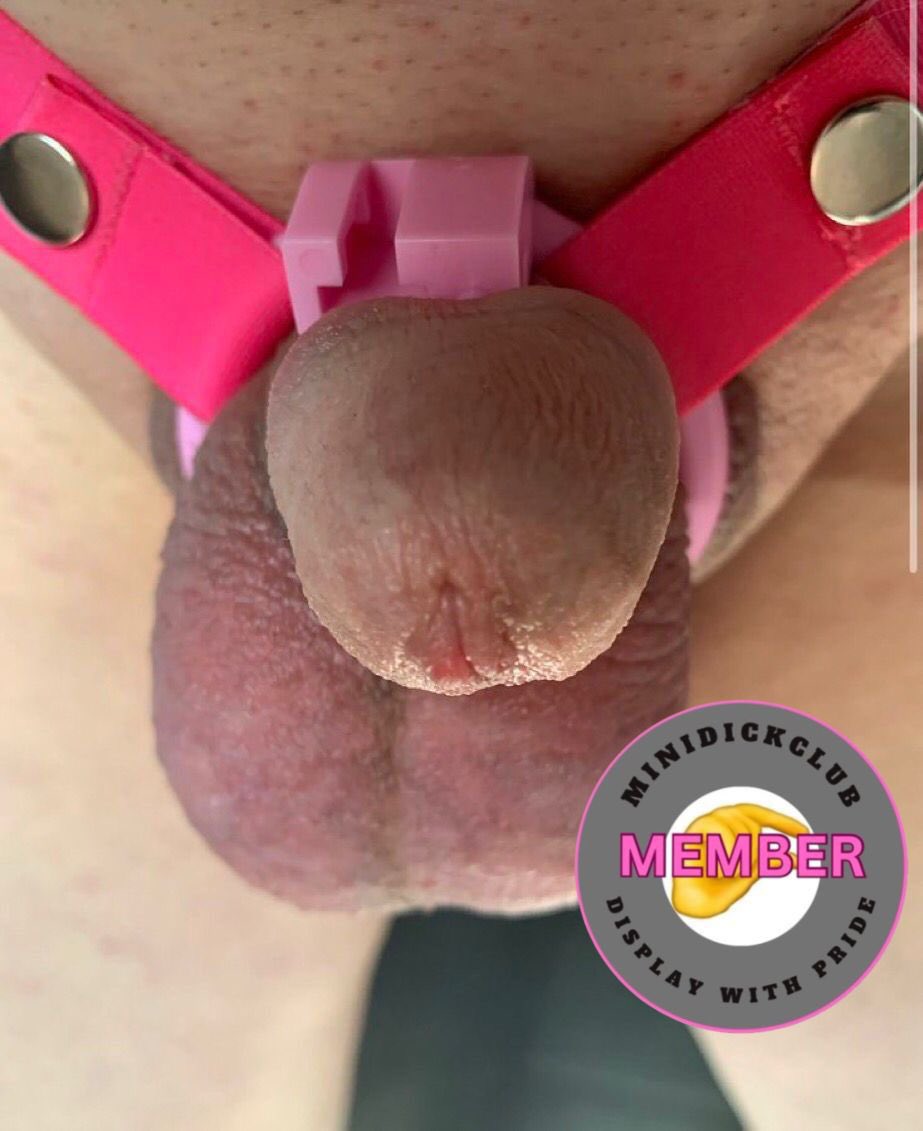 Sissy Daisy tweet media