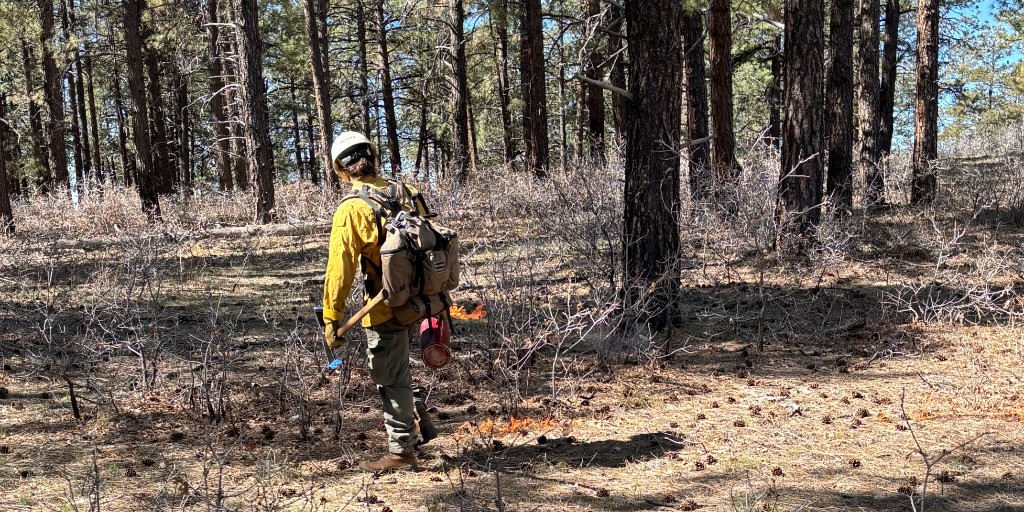 SW Colorado Fire tweet media