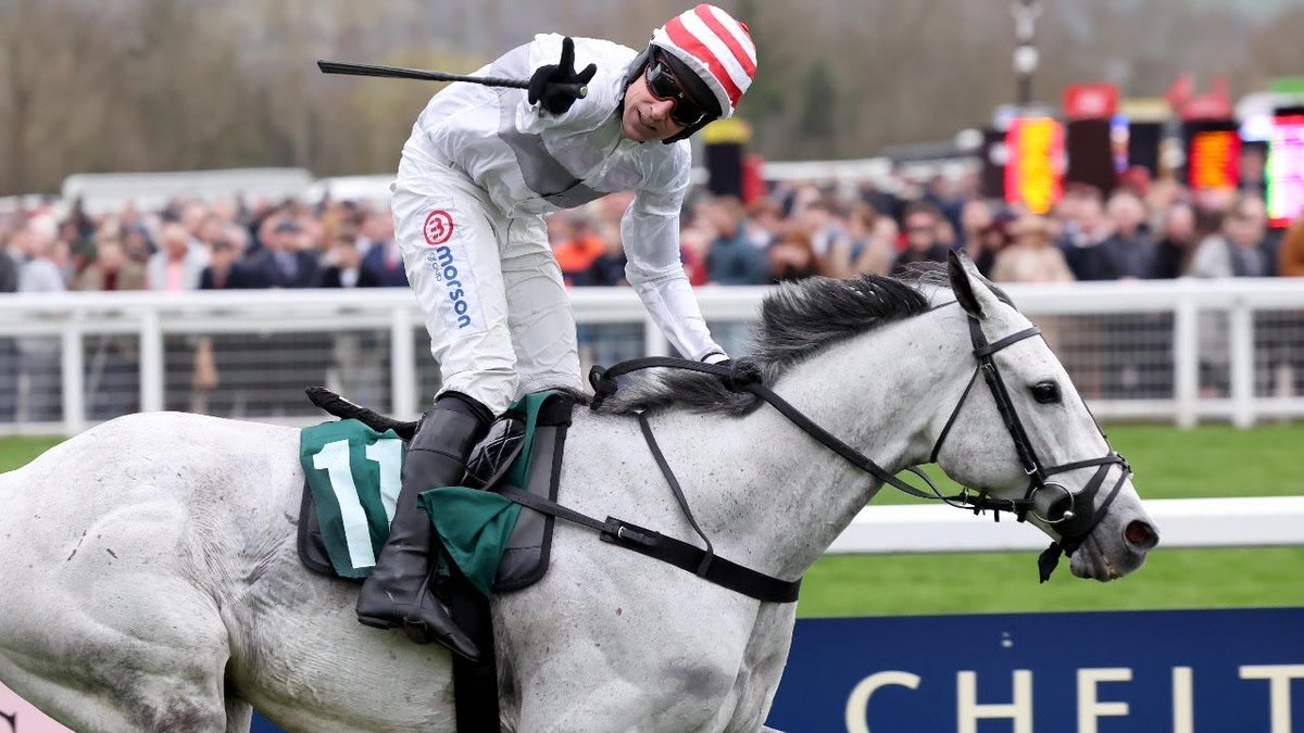 Ollie Gedge racing tweet media