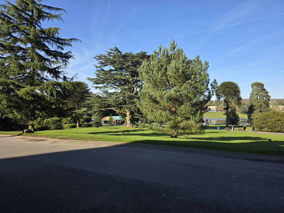 RiCHEYRiZZ tweet media