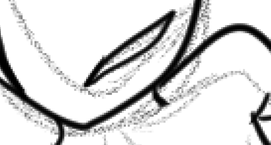 CodeFalseSun's tweet photo. making a small oc doodle for this acc because ive been #neglecting it a bit too much and i dont got it in me to draw new designs from the oc pulls i got earlier https://t.co/KnkrTzuoup