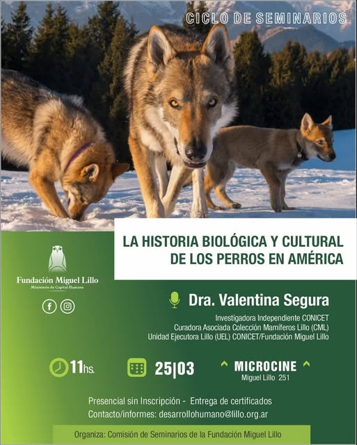 FundLillo's tweet photo. 📌¡Para agendar!

✅La Comisión de Capacitaciones y Seminarios de la Fundación Miguel Lillo los invita a la conferencia:
"La historia biológica y cultural de los perros en América",  cargo de la Dra. Valentina Segura.

✅25/03 a las 11, en la FML. https://t.co/RGr4J22woz