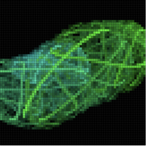 Johannes tweet media