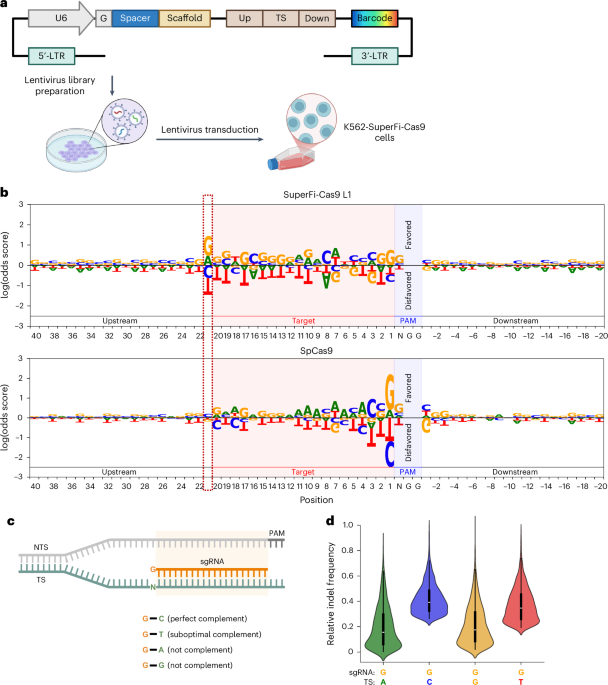 NatureStructMolBiol tweet media
