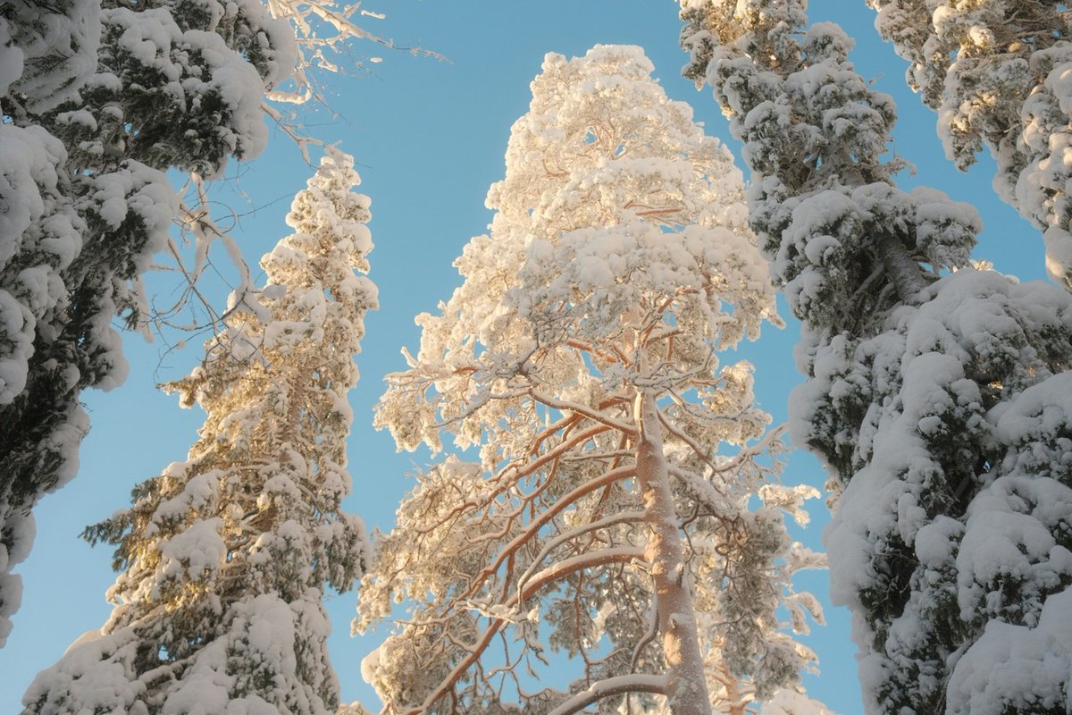 matadornetwork tweet media