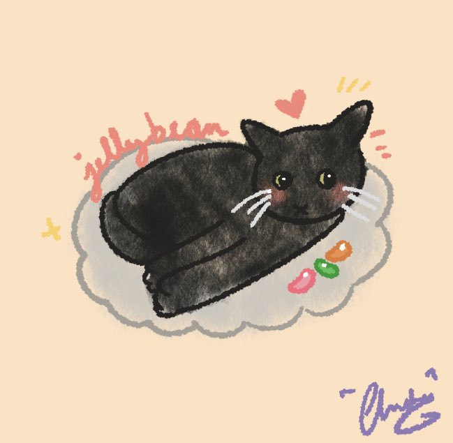 chrchie 🦎⭐️ lizard girl tweet media