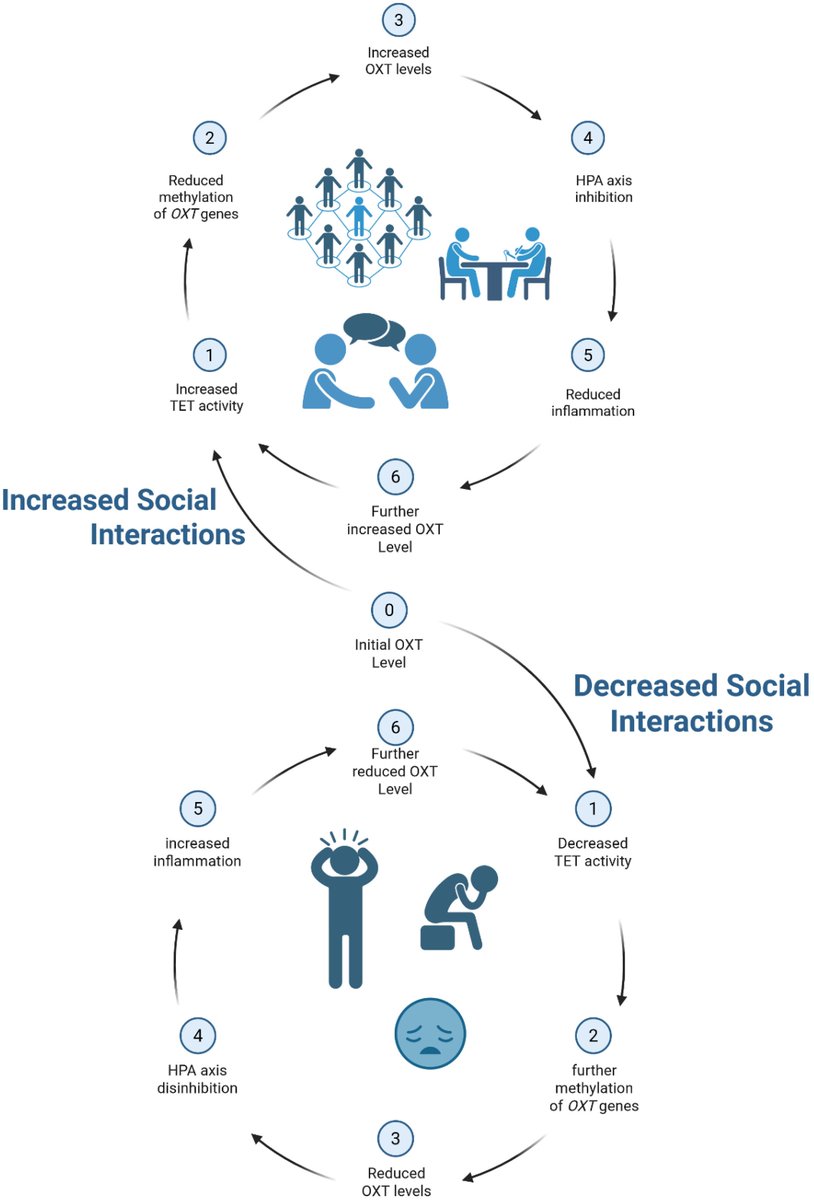 Dr. Rhonda Patrick tweet media