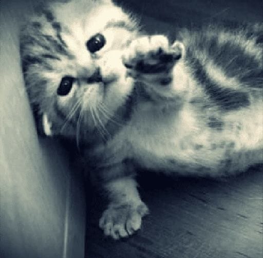 todos los dias escuchando la radio me va a volver loca