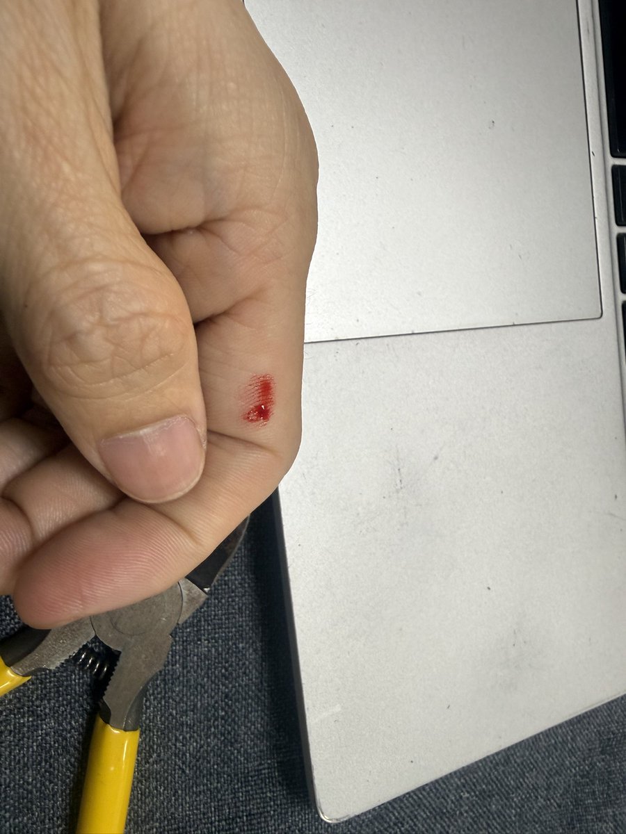 小小易一只 tweet media