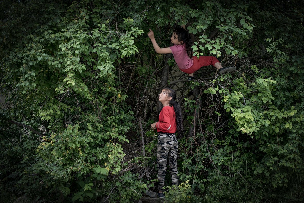 Jean-Francois Leroy tweet media