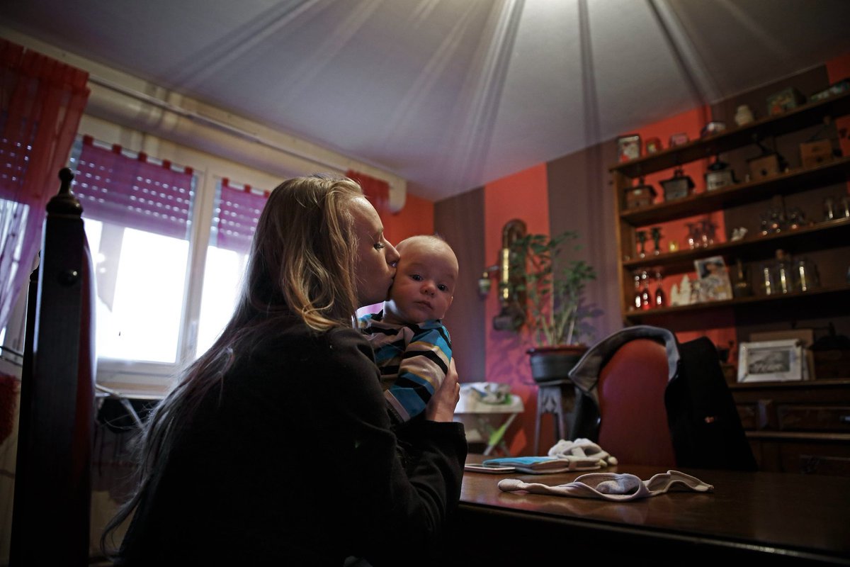 Jean-Francois Leroy tweet media